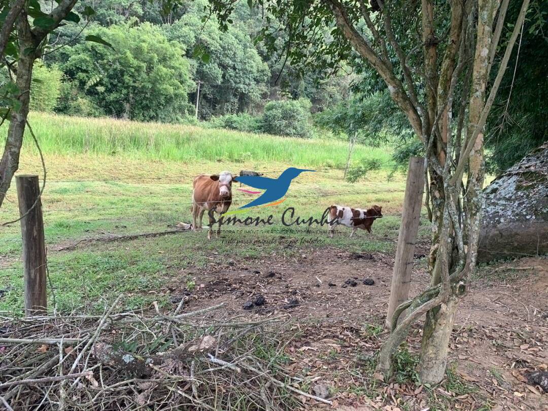 Fazenda à venda com 3 quartos, 300m² - Foto 27