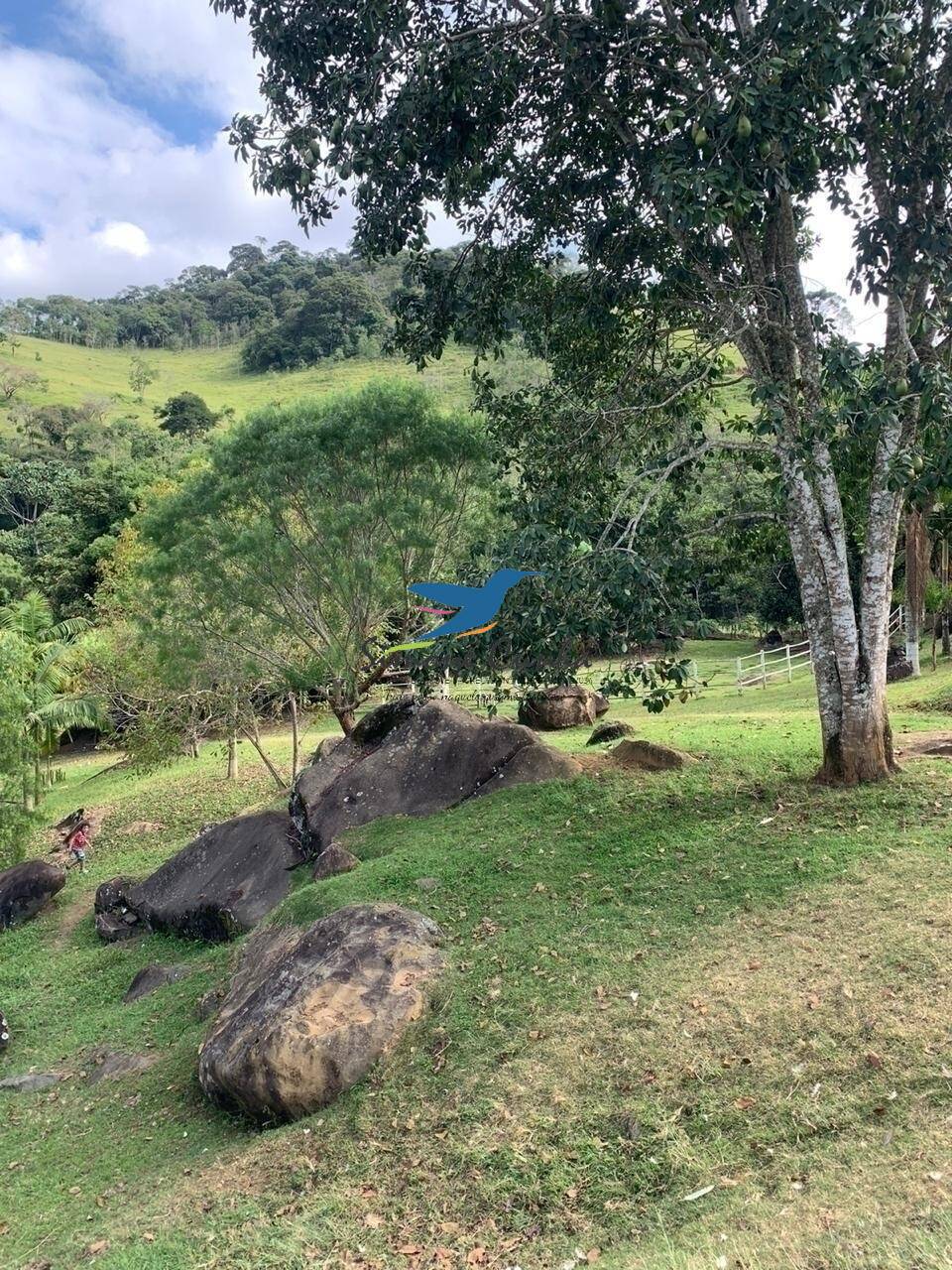 Fazenda à venda com 3 quartos, 300m² - Foto 11