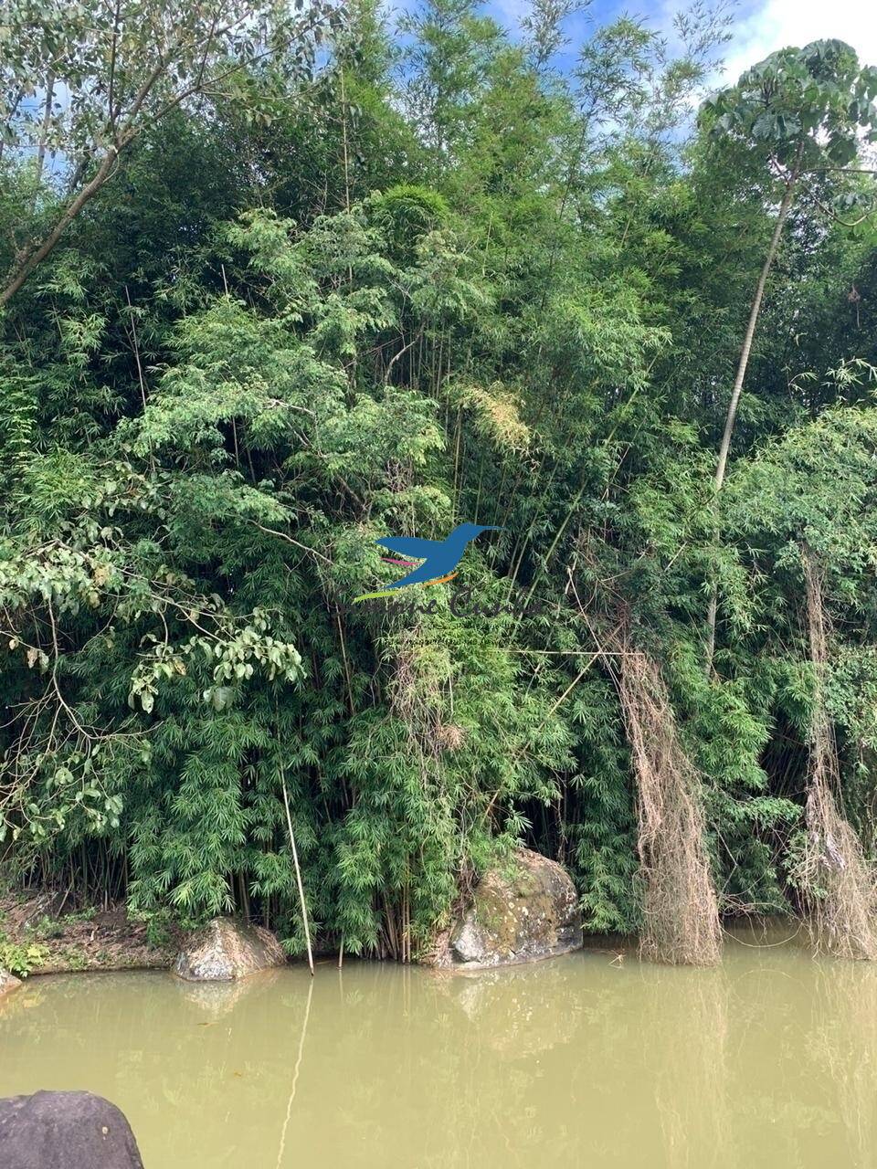 Fazenda à venda com 3 quartos, 300m² - Foto 23