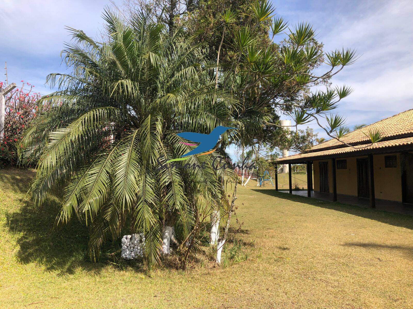 Fazenda à venda com 7 quartos, 650m² - Foto 6