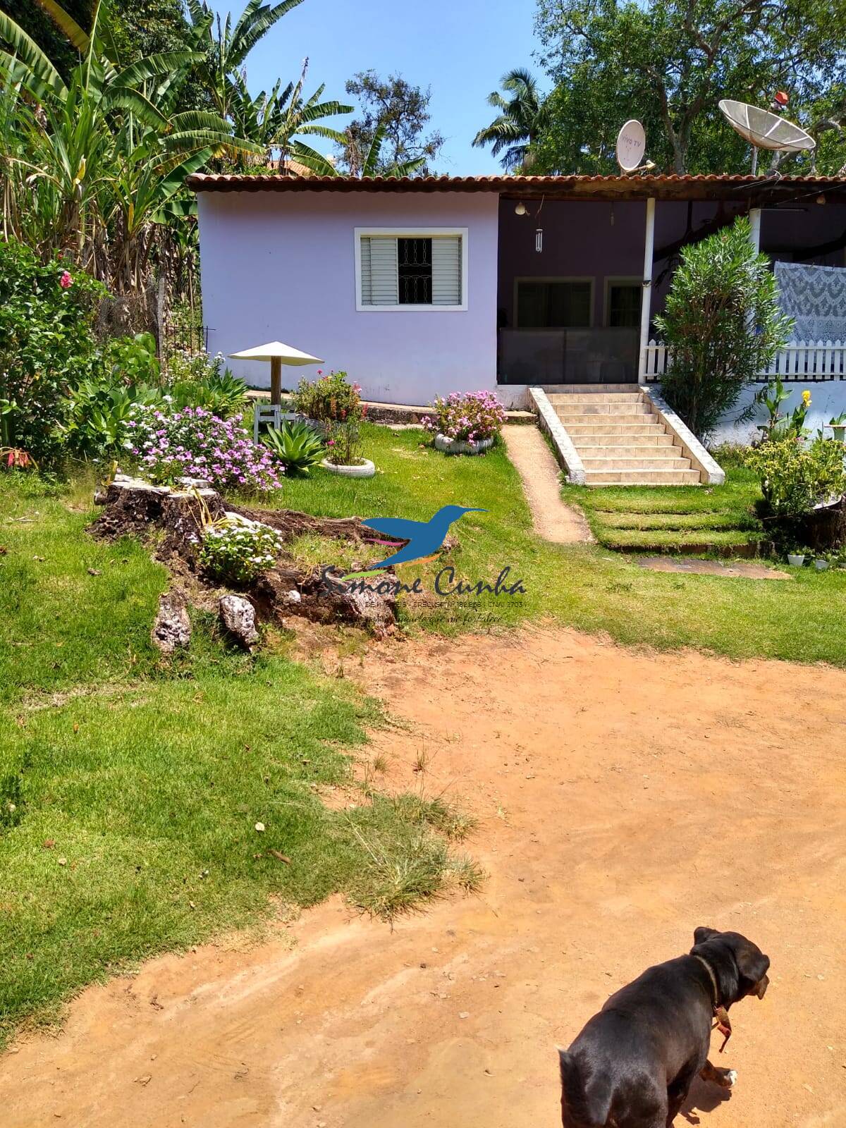 Fazenda à venda com 2 quartos, 72m² - Foto 11