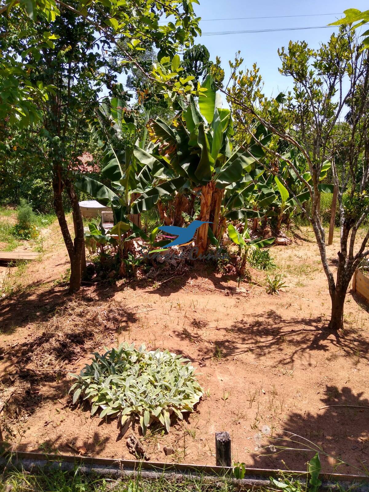 Fazenda à venda com 2 quartos, 72m² - Foto 8