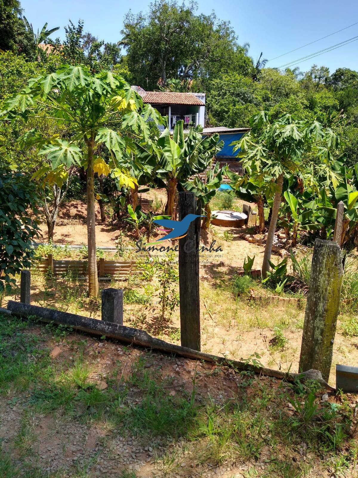 Fazenda à venda com 2 quartos, 72m² - Foto 5