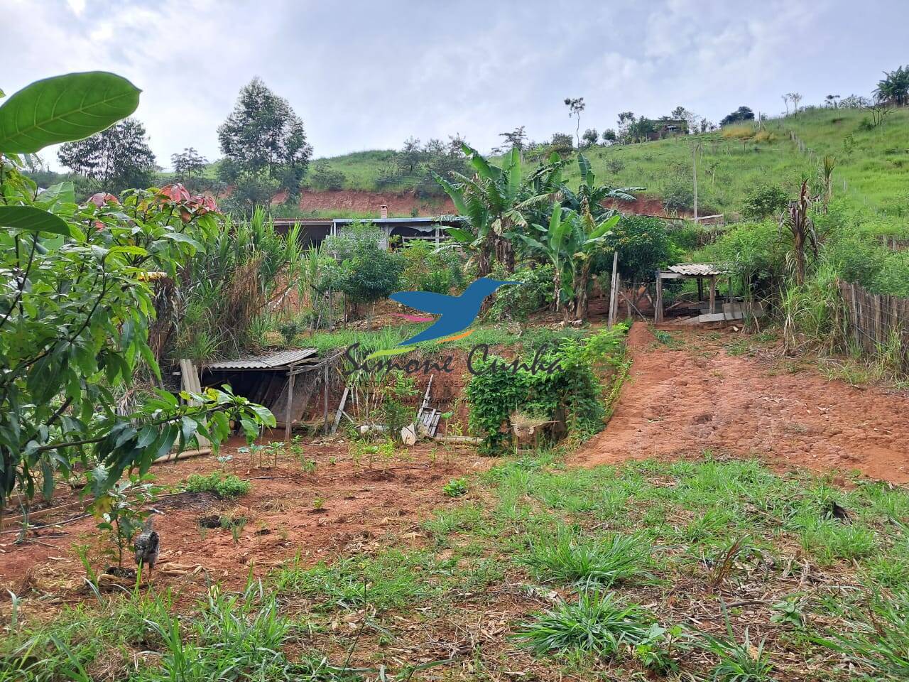 Fazenda à venda com 3 quartos, 1889m² - Foto 15