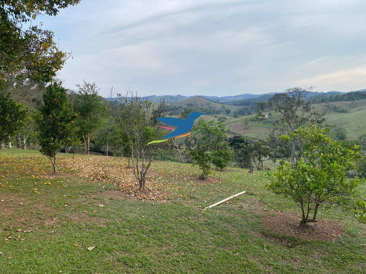 Fazenda à venda com 2 quartos, 3400m² - Foto 8